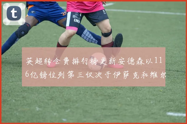 英超转会费排行榜更新安德森以116亿镑位列第三仅次于伊萨克和维尔茨